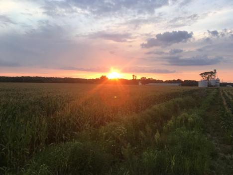 Scientists work with farmers on best management practices to reduce pollution on Eastern Shore