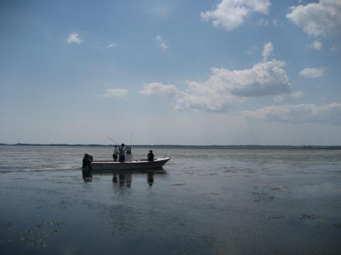 Researchers do fieldwork in the Bay. 