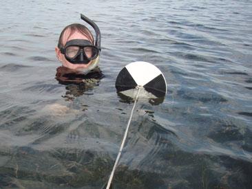 UMCES researcher Tim Carruthers measures water clarity in a SAV bed on the Choptank River.