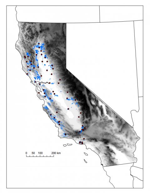 Map showing sample sites in relation to the distribution of valley oak and topography.