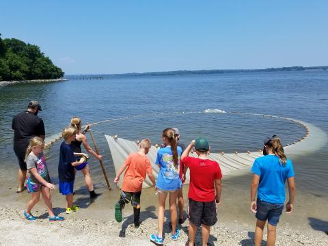 Fish were encircled in the seine net and pulled in at the shoreline. 