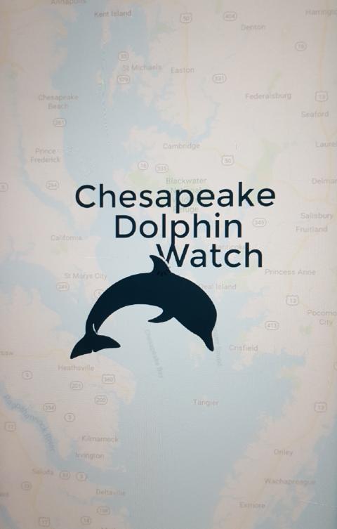 home screen of Chesapeake Dolphin Watch app
