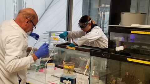 Lauren Jonas and Russell Hill in their lab setting up an experiment.