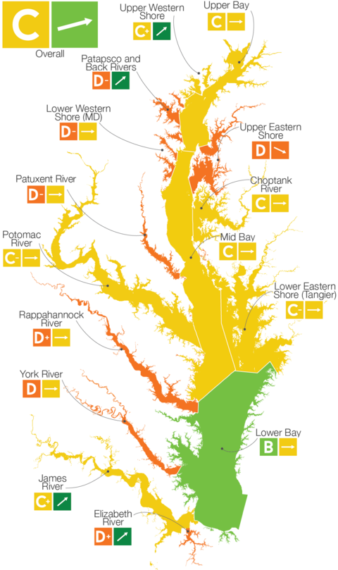 Chesapeake Bay Report Card Watershed graphic
