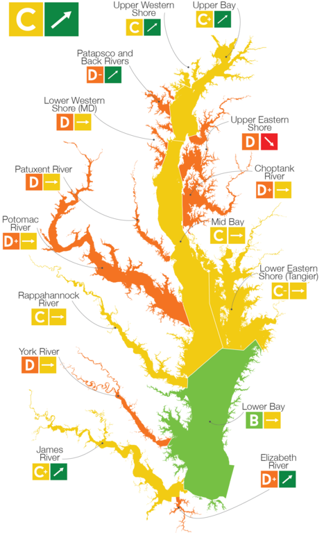 Chesapeake Bay Report Card Watershed graphic