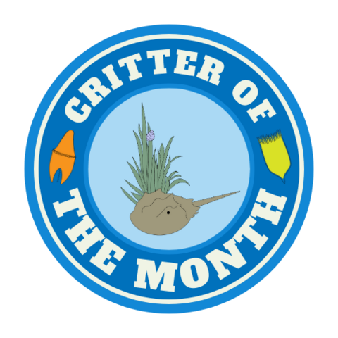 Critter of the Month Logo UPDATED