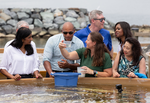 Stephanie Alexander from UMCES' Horn Point Laboratory Oyster Hatchery shows oyster spat to Maryland Governor Moore