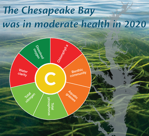 Bay Health Graphic. Ches Bay Health was given a moderate C grade