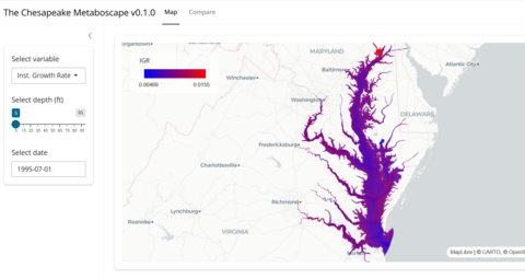 Image of draft Chesapeake Metaboscape Data Analysis Tool