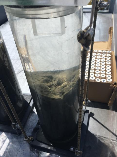 Ocean acidification water sample