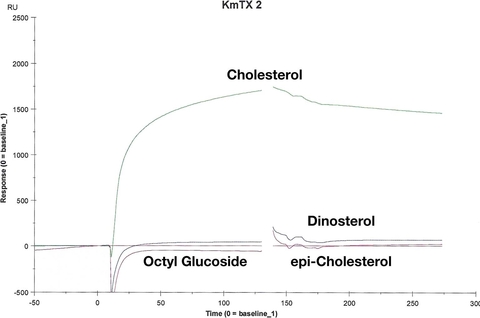 Sensograms for interaction of 10 μM KmTx2 to Series S sensor Chip HPA coated with equivalent amounts of cholesterol, dinosterol and epi-cholesterol and washed with 40 mM octyl glucoside.