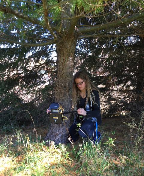 Graduate student Clare Nemes attaches a trail camera to a pine tree.