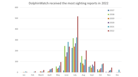 graph showing dophin watch sigtings throughout the years, showing a growing trend from year to year