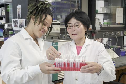 Two people in lab coats looking at test tubes in a tray