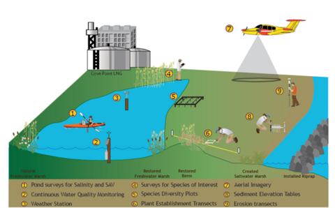 A diagram of Cove Point Marsh Restoration Plan