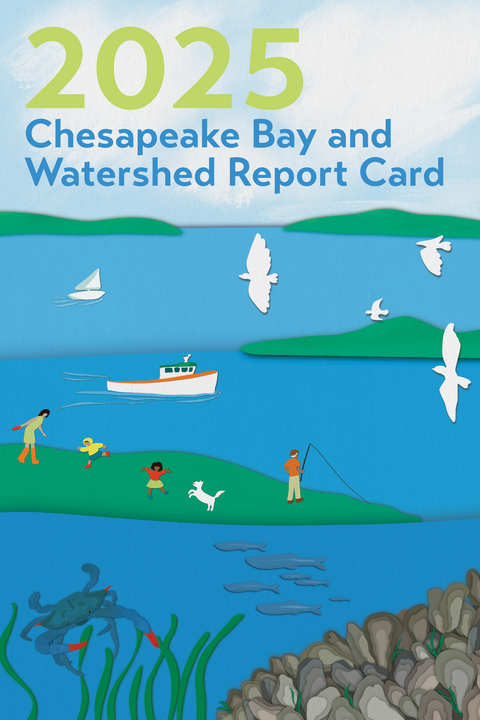 2025 Chesapeake Bay & Watershed Report Cover with illustrated birds, boats, and people near bright blue water.