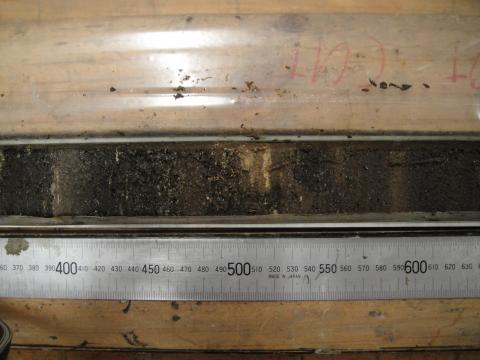 Photo of sediment core containing fossil pollen.