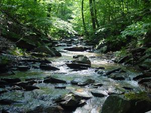 Photo of an Appalachian Mountain stream