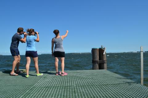 3 DolphinWatch research assistants look out over the Patuxent River from the research pier, searching fol dolphins. with camera and binoculars.