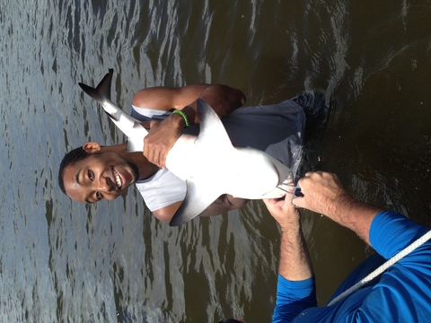 Dawson conducting in shark field research