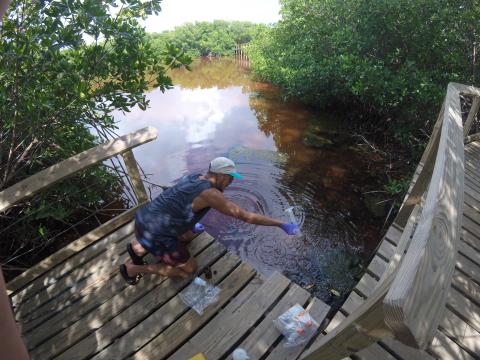 Graduate student Juan Alvarez pulls samples from Laguna Grande, a bioluminescent bay in Puerto Rico.