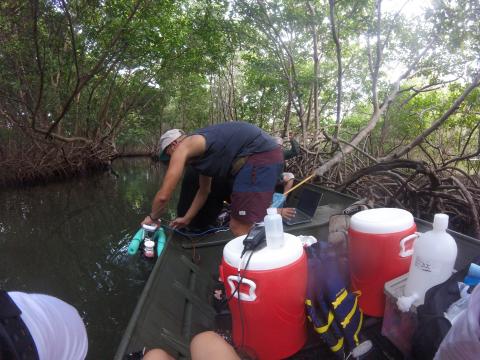 Juan Alvarez pulls samples from a bioluminescent bay in Puerto Rico.