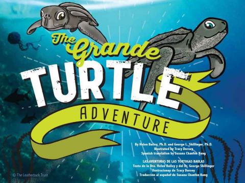 The Grande Turtle Adventure 