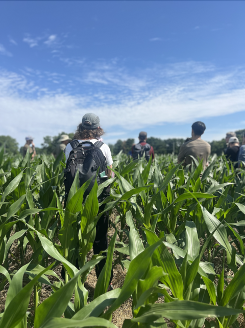 Nitrogen Summer Institute participants visit Harborview Farms in Rock Hall, MD and hear about nitrogen management along the food supply chain from farm to fork.