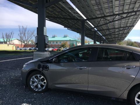 An electric car charging station at Horn Point Laboratory is part of a solar canopy newly built at the campus.