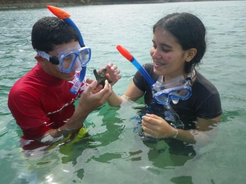 Students studying bioluminescence in Puerto Rican lagoons. 