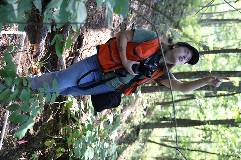 Photo of field technician documenting forest vegetation with a camera.