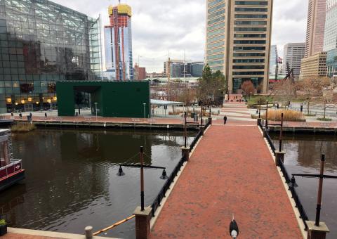 The water in Baltimore harbor takes on a brownish tint after an algae bloom called a mahogany tide.