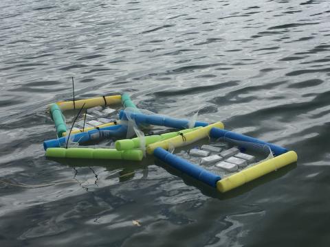 Juan's samples float in the bay before he can retrieve them to study closer. 