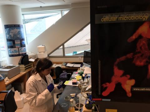 Daniela Tizabi in white lab coat working with a sample in the laboratory