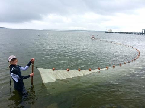 Ellie in the ocean holding a net to catch fish