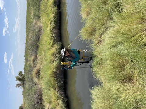 Stephanie Siemek in field with equipment near stream. 