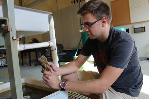 Kevin Kahover holds an oyster to examine. 