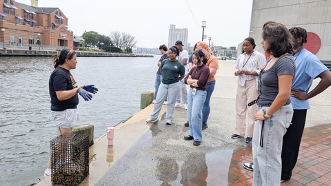 Waterfront Partnership Eco Tour