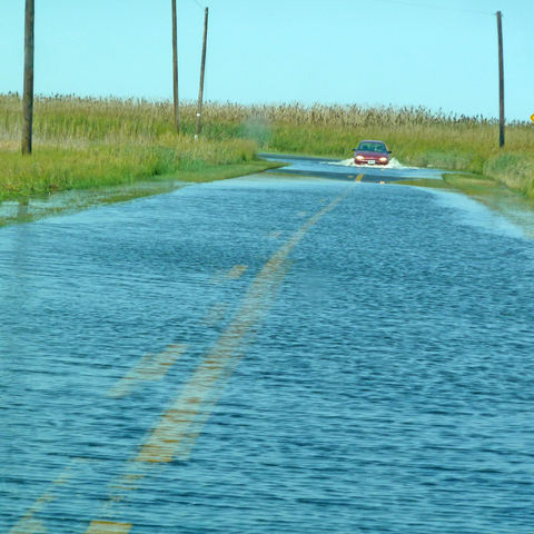 Coastal flooding