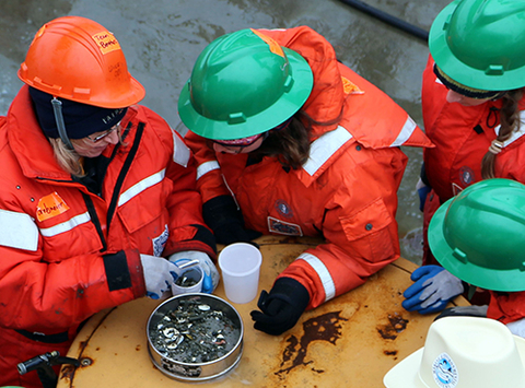 Christina Goethel and her advisorJackie Grebmeier examine samples of life from the bottom of the Chukchi Sea.