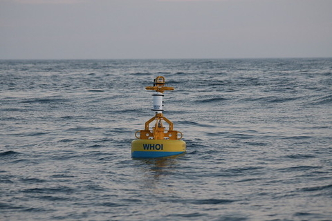 Buoy in ocean