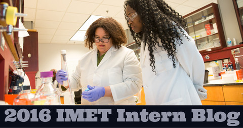 Link to the 2016 IMET Intern Blog