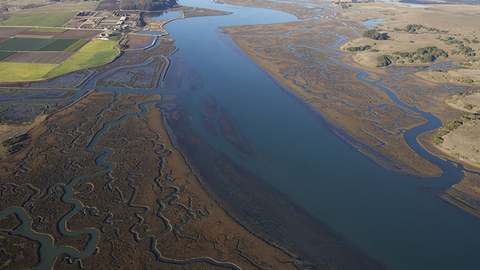 NOAA Estuary