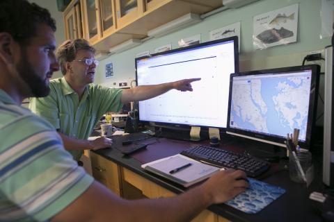 Professor Dave Secor points on rockfish migration patterns on a computer monitor.