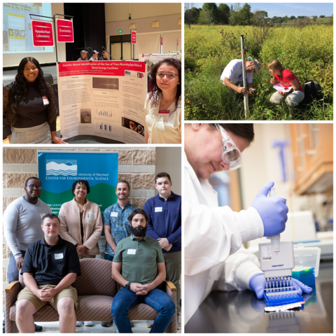 Collage of undergraduate and graduate students engaged in scientific activities including fieldwork, lab work, and scientific presentations. 