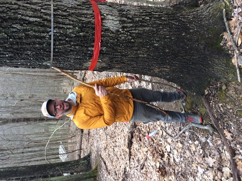 Dr. Nicolas Zegre standing in forest next to large tree with measurement band around its trunk. 