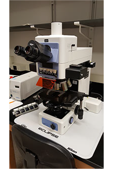 Nikon Eclipse E800 Fluorescent Microscope