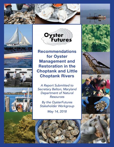 OysterFutures_Recommendations report_cover