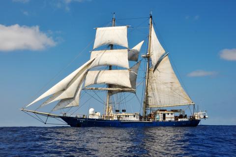 Tall Ship Kaisei