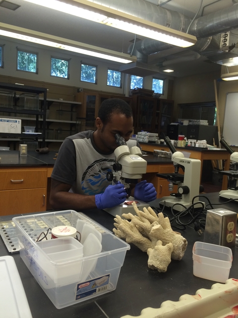 Dawson examines shark parasites in a lab